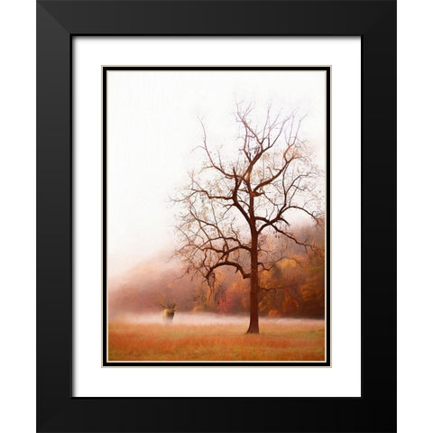 Photography Study Elk in the Mist Black Modern Wood Framed Art Print with Double Matting by PHBurchett