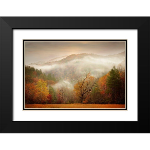 Photography Study Autumn Mist Black Modern Wood Framed Art Print with Double Matting by PHBurchett