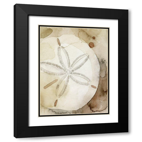 Dry Sand Dollar I Black Modern Wood Framed Art Print with Double Matting by Popp, Grace