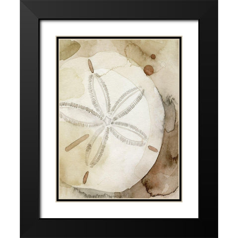 Dry Sand Dollar I Black Modern Wood Framed Art Print with Double Matting by Popp, Grace