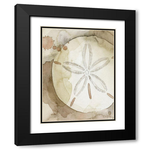 Dry Sand Dollar II Black Modern Wood Framed Art Print with Double Matting by Popp, Grace