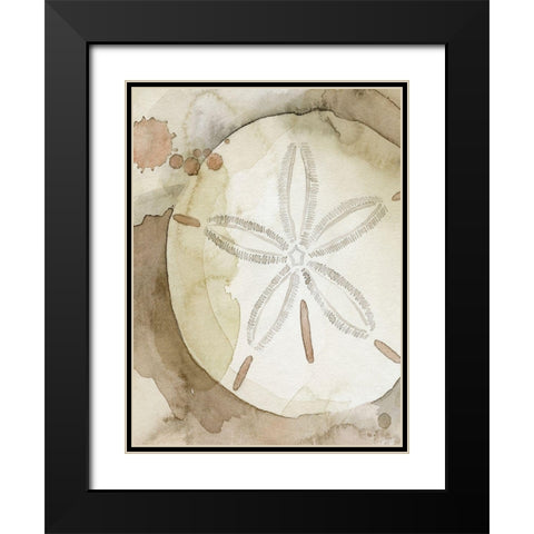 Dry Sand Dollar II Black Modern Wood Framed Art Print with Double Matting by Popp, Grace