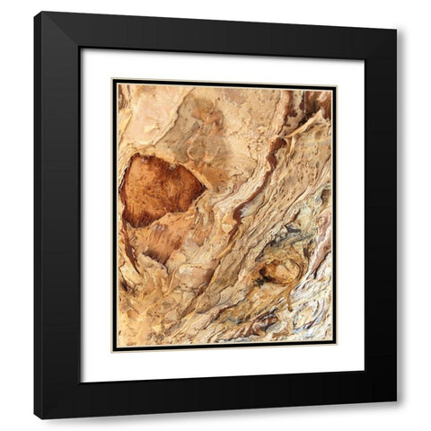 Tree Texture Triptych II Black Modern Wood Framed Art Print with Double Matting by Stelfox, Norm