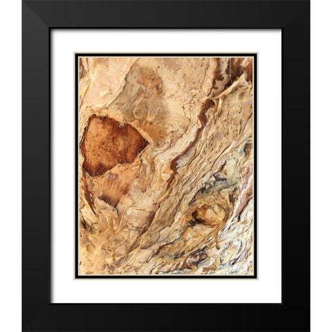 Tree Texture Triptych II Black Modern Wood Framed Art Print with Double Matting by Stelfox, Norm