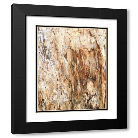 Tree Texture Triptych III Black Modern Wood Framed Art Print with Double Matting by Stelfox, Norm