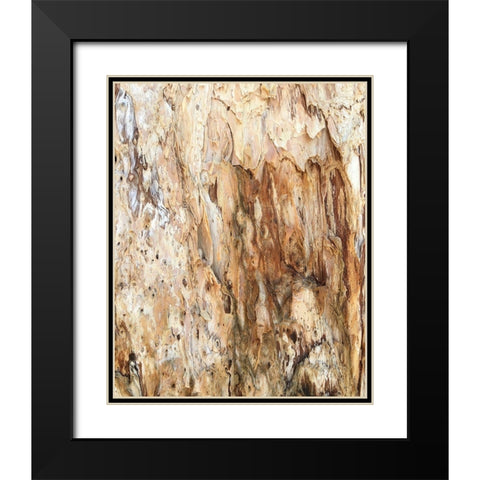 Tree Texture Triptych III Black Modern Wood Framed Art Print with Double Matting by Stelfox, Norm
