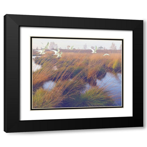 Marshland Hues II Black Modern Wood Framed Art Print with Double Matting by Hunziker, Steve