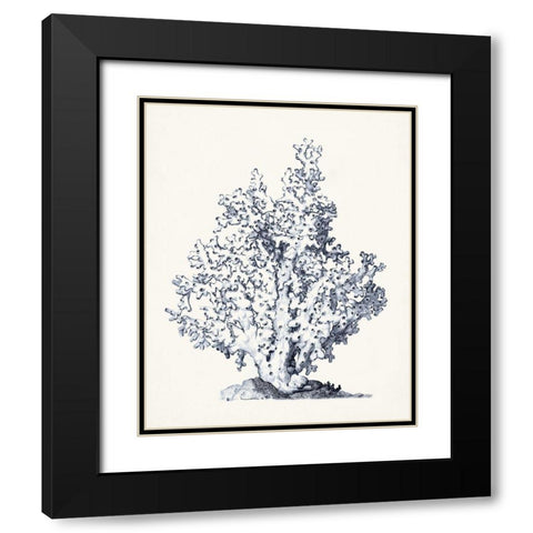 Blue Antique Coral I Black Modern Wood Framed Art Print with Double Matting by Vision Studio