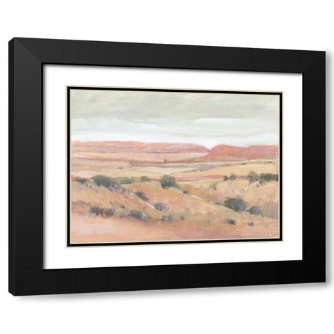 Southwest Landscape I Black Modern Wood Framed Art Print with Double Matting by OToole, Tim