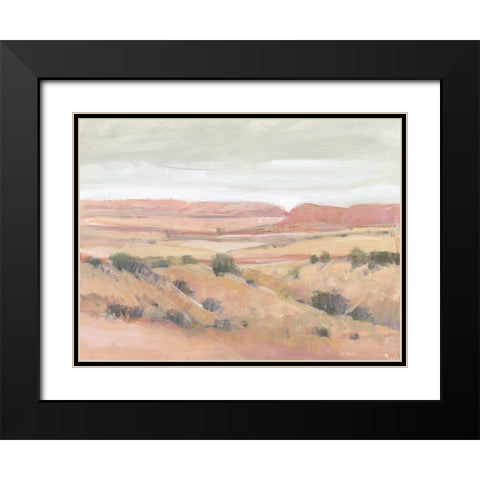 Southwest Landscape I Black Modern Wood Framed Art Print with Double Matting by OToole, Tim