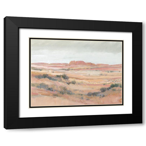 Southwest Landscape II Black Modern Wood Framed Art Print with Double Matting by OToole, Tim