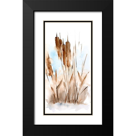 Watercolor Cattail Study I Black Modern Wood Framed Art Print with Double Matting by Harper, Ethan