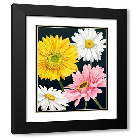 Gerbera Daisy I Black Modern Wood Framed Art Print with Double Matting by Popp, Grace