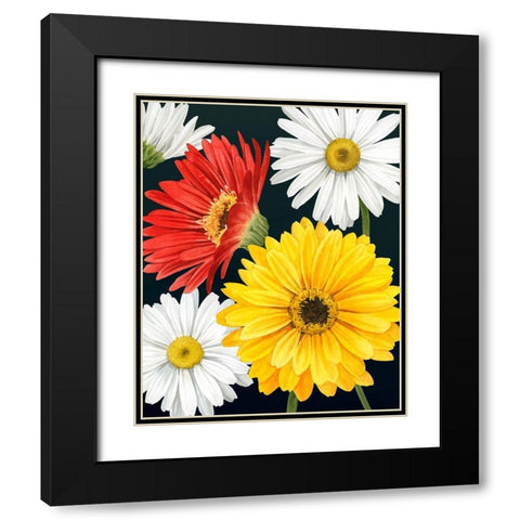 Gerbera Daisy II Black Modern Wood Framed Art Print with Double Matting by Popp, Grace