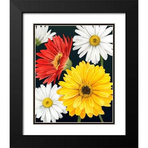 Gerbera Daisy II Black Modern Wood Framed Art Print with Double Matting by Popp, Grace