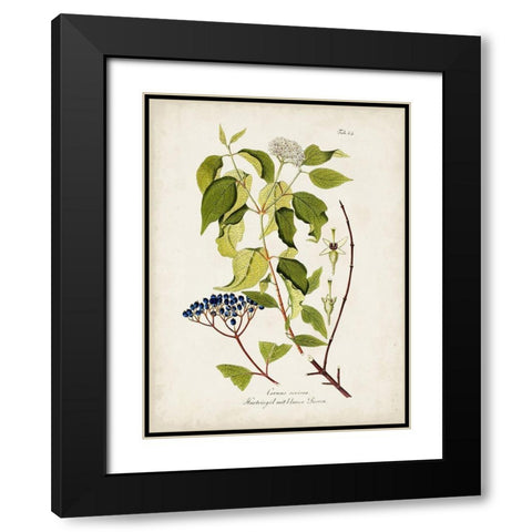 Tree in Bloom I Black Modern Wood Framed Art Print with Double Matting by Unknown