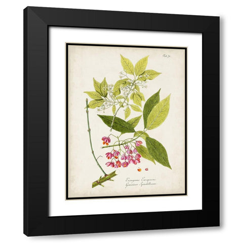 Tree in Bloom IV Black Modern Wood Framed Art Print with Double Matting by Unknown