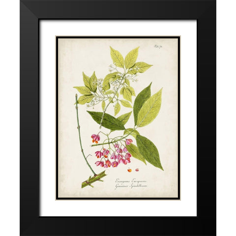 Tree in Bloom IV Black Modern Wood Framed Art Print with Double Matting by Unknown