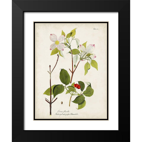 Tree in Bloom V Black Modern Wood Framed Art Print with Double Matting by Unknown