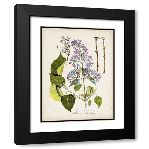 Tree in Bloom VI Black Modern Wood Framed Art Print with Double Matting by Unknown