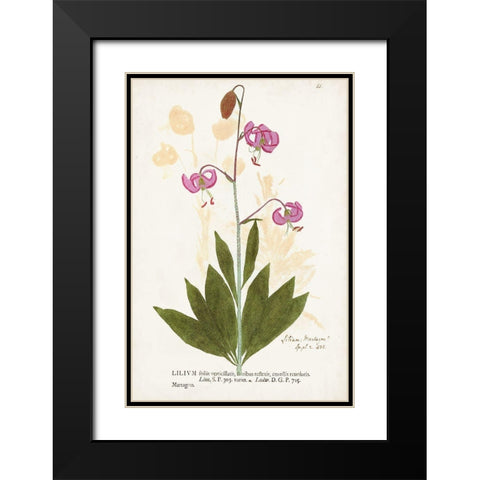 Nature Printed Botanicals V Black Modern Wood Framed Art Print with Double Matting by Unknown