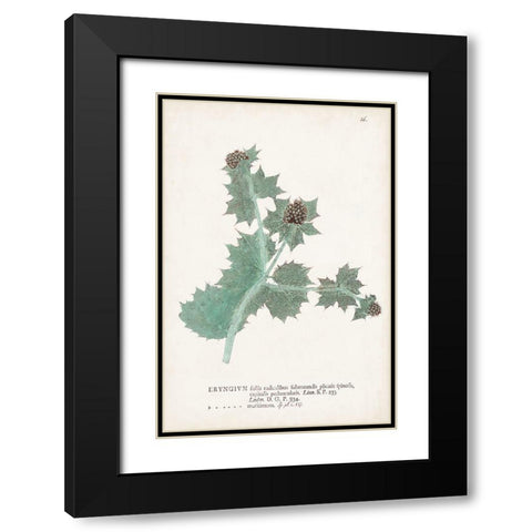 Nature Printed Ferns VII Black Modern Wood Framed Art Print with Double Matting by Unknown