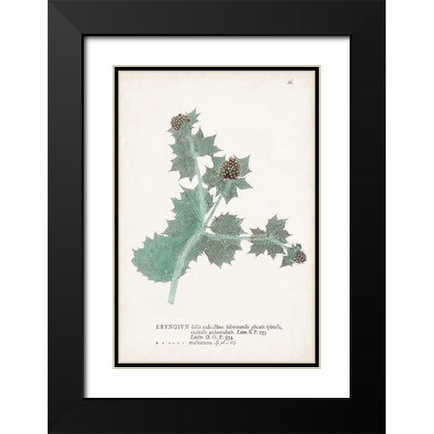 Nature Printed Ferns VII Black Modern Wood Framed Art Print with Double Matting by Unknown