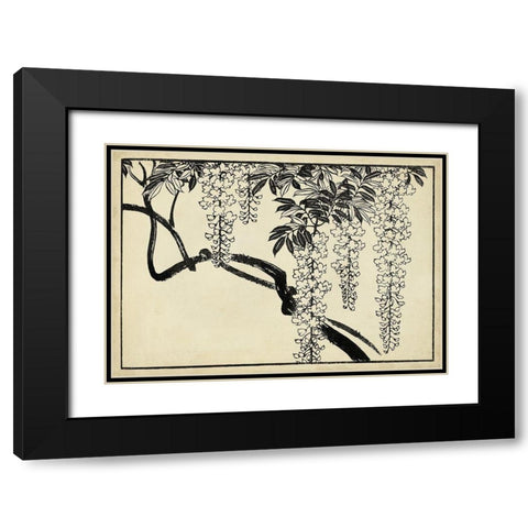 Japanese Wisteria I B Black Modern Wood Framed Art Print with Double Matting by Unknown