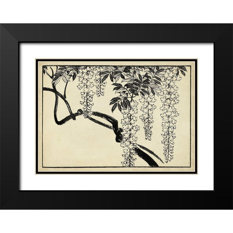 Japanese Wisteria I B Black Modern Wood Framed Art Print with Double Matting by Unknown
