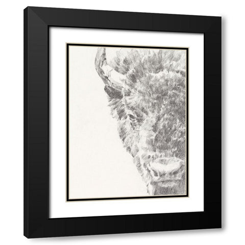 Graphite Bison Portrait I Black Modern Wood Framed Art Print with Double Matting by Harper, Ethan