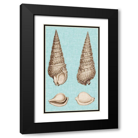 Sepia And Aqua Shells I Black Modern Wood Framed Art Print with Double Matting by Vision Studio