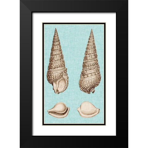 Sepia And Aqua Shells I Black Modern Wood Framed Art Print with Double Matting by Vision Studio