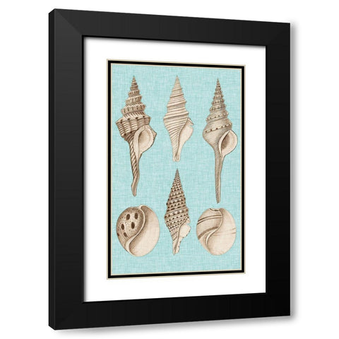 Sepia And Aqua Shells II Black Modern Wood Framed Art Print with Double Matting by Vision Studio