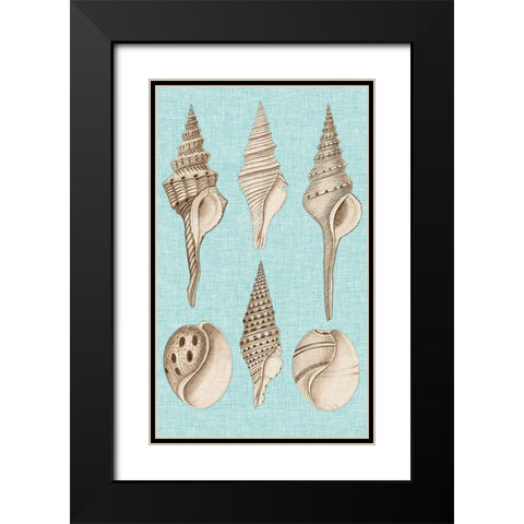 Sepia And Aqua Shells II Black Modern Wood Framed Art Print with Double Matting by Vision Studio