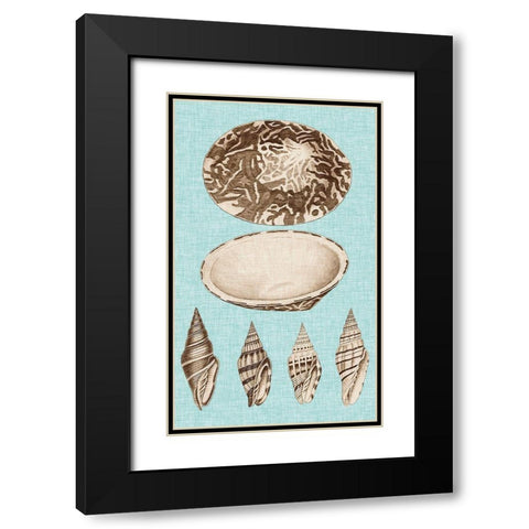 Sepia And Aqua Shells III Black Modern Wood Framed Art Print with Double Matting by Vision Studio