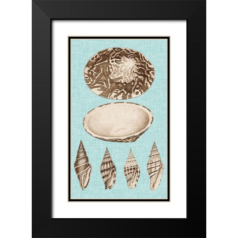 Sepia And Aqua Shells III Black Modern Wood Framed Art Print with Double Matting by Vision Studio