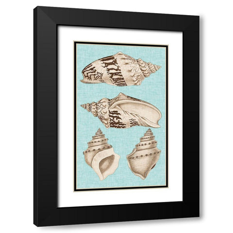 Sepia And Aqua Shells IV Black Modern Wood Framed Art Print with Double Matting by Vision Studio