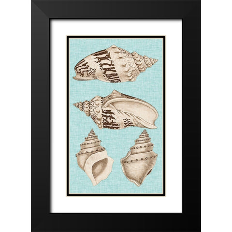 Sepia And Aqua Shells IV Black Modern Wood Framed Art Print with Double Matting by Vision Studio