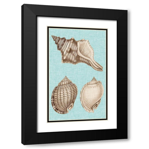 Sepia And Aqua Shells V Black Modern Wood Framed Art Print with Double Matting by Vision Studio