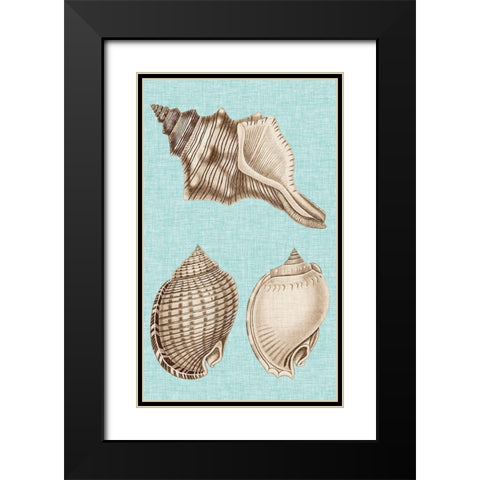 Sepia And Aqua Shells V Black Modern Wood Framed Art Print with Double Matting by Vision Studio