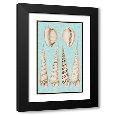 Sepia And Aqua Shells VI Black Modern Wood Framed Art Print with Double Matting by Vision Studio