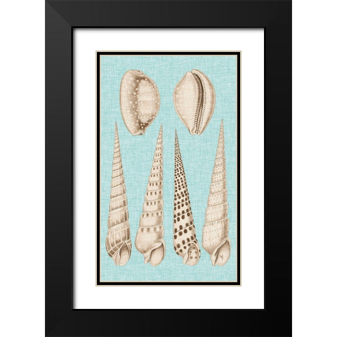 Sepia And Aqua Shells VI Black Modern Wood Framed Art Print with Double Matting by Vision Studio