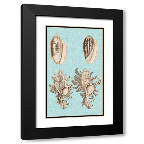 Sepia And Aqua Shells VII Black Modern Wood Framed Art Print with Double Matting by Vision Studio