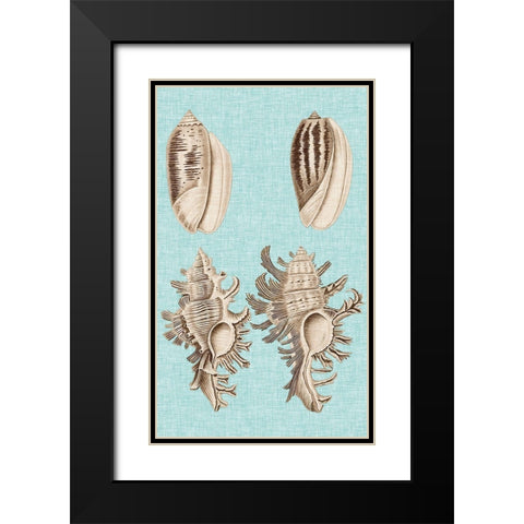 Sepia And Aqua Shells VII Black Modern Wood Framed Art Print with Double Matting by Vision Studio