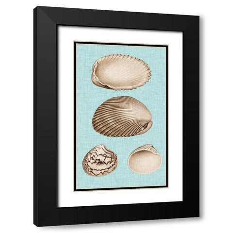 Sepia And Aqua Shells VIII Black Modern Wood Framed Art Print with Double Matting by Vision Studio