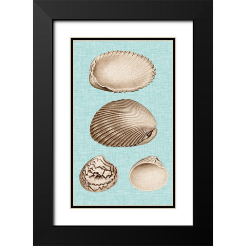 Sepia And Aqua Shells VIII Black Modern Wood Framed Art Print with Double Matting by Vision Studio