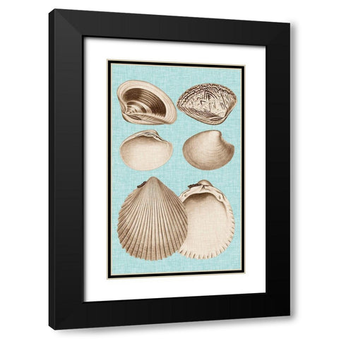 Sepia And Aqua Shells IX Black Modern Wood Framed Art Print with Double Matting by Vision Studio