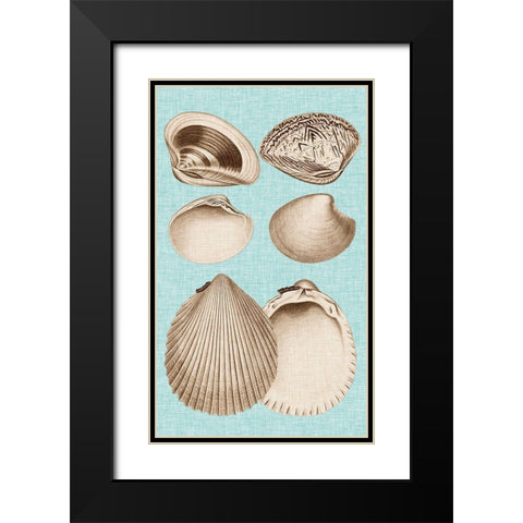 Sepia And Aqua Shells IX Black Modern Wood Framed Art Print with Double Matting by Vision Studio