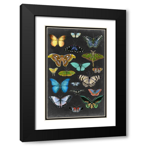 Graphic Butterfly Taxonomy I Black Modern Wood Framed Art Print with Double Matting by McCavitt, Naomi