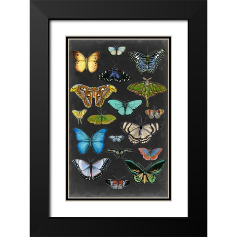 Graphic Butterfly Taxonomy I Black Modern Wood Framed Art Print with Double Matting by McCavitt, Naomi